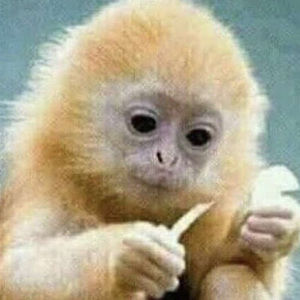 Meet your Posher, Bryan